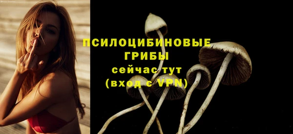 скорость Арсеньев