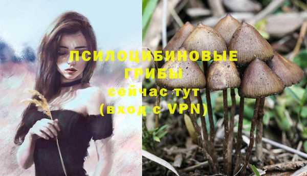 таблы Болохово