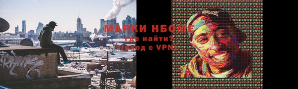 хмурый Аркадак