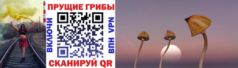 Галлюциногенные грибы прущие грибы  Красноармейск 