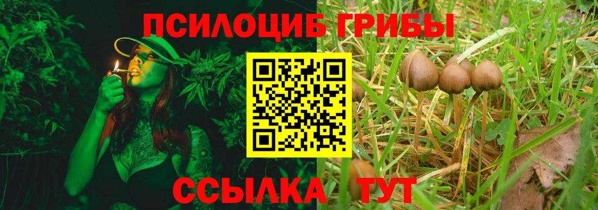 Псилоцибиновые грибы мицелий Красноармейск