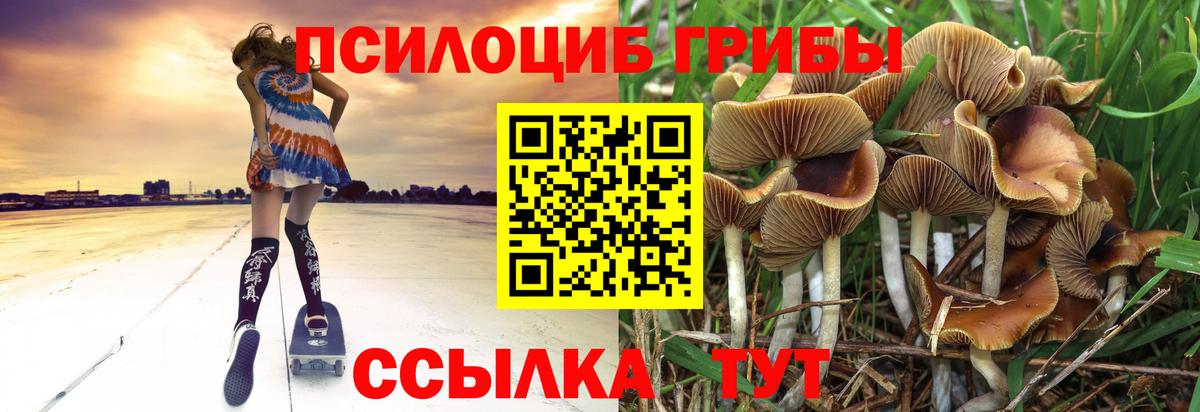 Галлюциногенные грибы Psilocybine cubensis  Вход с VPN  Красноармейск 